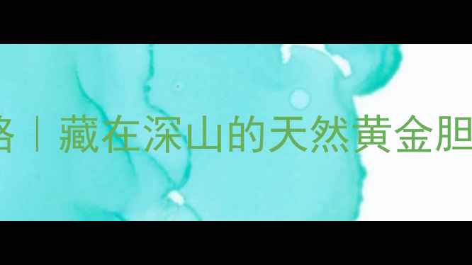 岩羊胆养生全攻略藏在深山的天然黄金胆汁竟有7大奇效