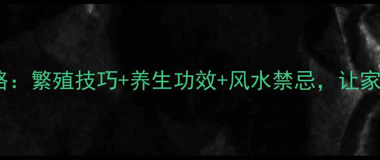 图片 🌿平安树养护全攻略：繁殖技巧+养生功效+风水禁忌，让家宅健康又旺运！🌱1