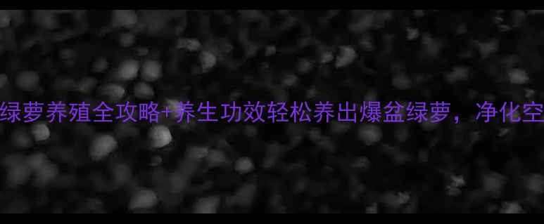 图片 🌿懒人必看！绿萝养殖全攻略+养生功效轻松养出爆盆绿萝，净化空气还能助眠！