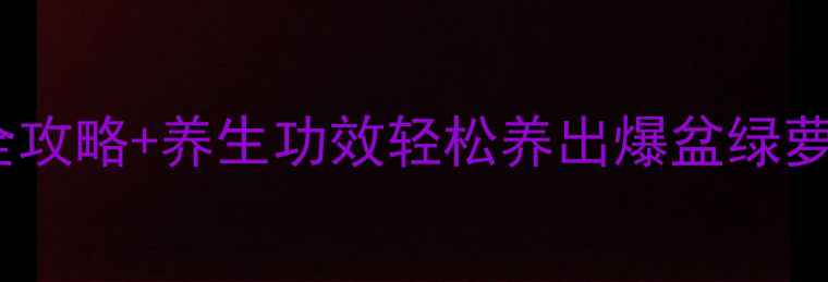 懒人必看绿萝养殖全攻略养生功效轻松养出爆盆绿萝净化空气还能助眠