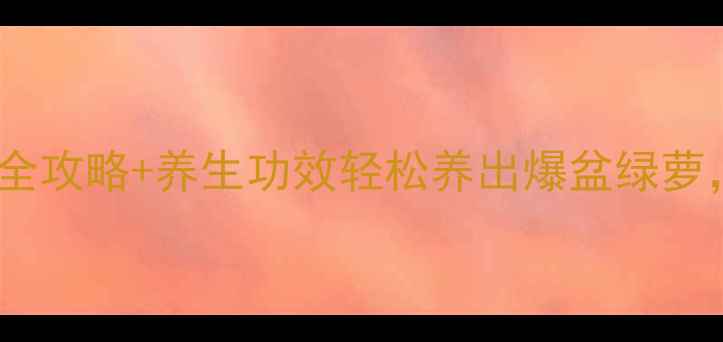 图片 🌿懒人必看！绿萝养殖全攻略+养生功效轻松养出爆盆绿萝，净化空气还能助眠！2