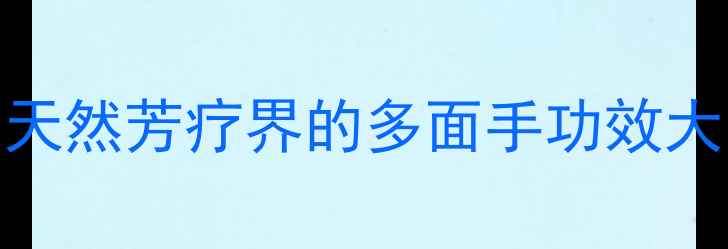 柠檬草精油养生指南天然芳疗界的多面手功效大助眠瘦腰护肤全攻略