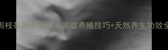 图片 🌿栀枝花养生指南：家庭养殖技巧+天然养生功效全🌿