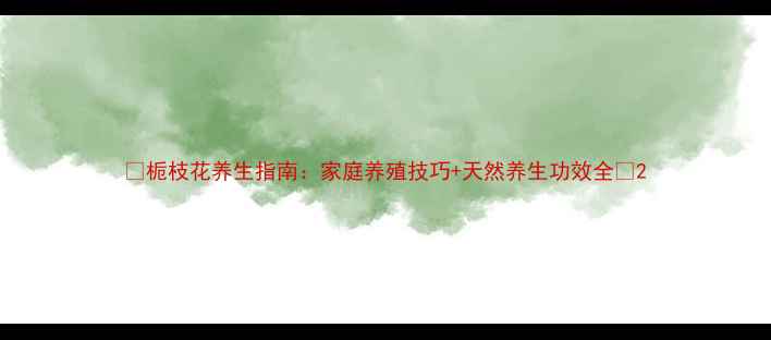 图片 🌿栀枝花养生指南：家庭养殖技巧+天然养生功效全🌿2