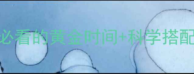 核酸是身体的清道夫养生必看的黄金时间科学搭配每天10分钟焕活细胞活力