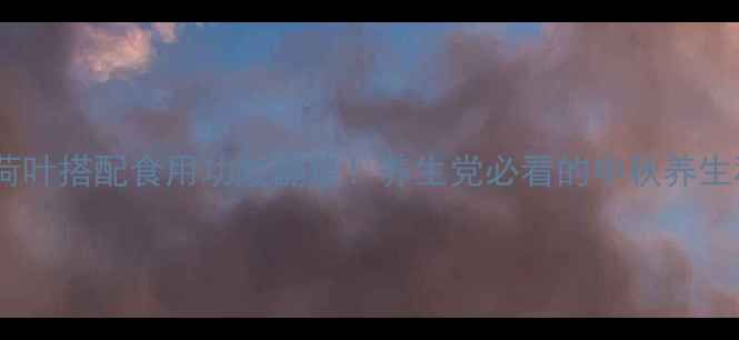 桑叶荷叶搭配食用功效翻倍养生党必看的中秋养生秘籍