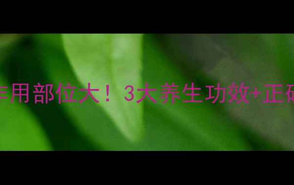 图片 🌿氢氯噻嗪作用部位大！3大养生功效+正确使用指南🌿