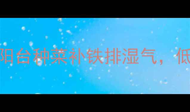 水培芹菜的养生攻略阳台种菜补铁排湿气低卡高纤维的绿色营养库