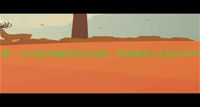 汽车族必看方向盘后隐藏的养生秘籍颈椎腰椎久坐族如何科学护体