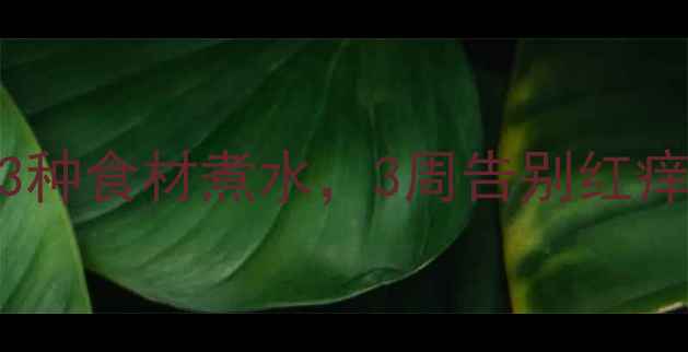 湿疹反复难缠苍耳子3种食材煮水3周告别红痒脱皮中医亲授天然疗法