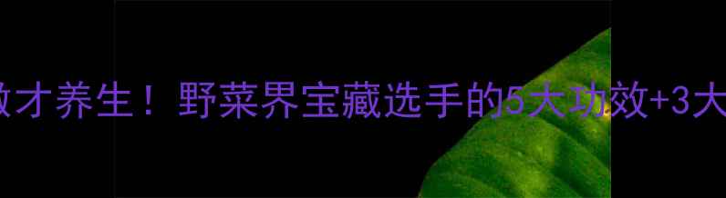 灰灰菜这样做才养生野菜界宝藏选手的5大功效3大禁忌全公开