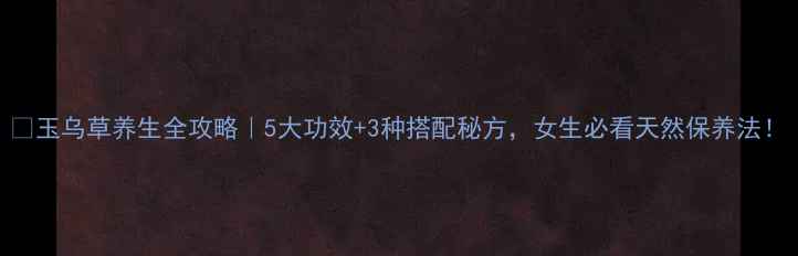 玉乌草养生全攻略5大功效3种搭配秘方女生必看天然保养法