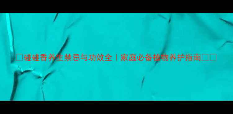 图片 🌿碰碰香养生禁忌与功效全｜家庭必备植物养护指南🌿💡