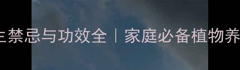 碰碰香养生禁忌与功效全家庭必备植物养护指南