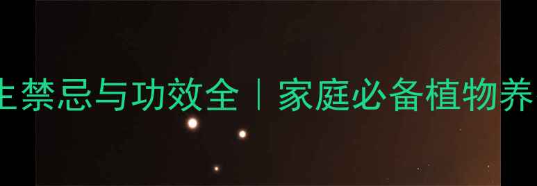 图片 🌿碰碰香养生禁忌与功效全｜家庭必备植物养护指南🌿💡2