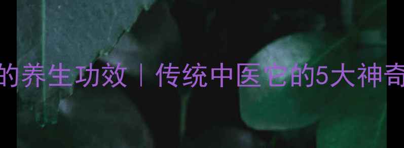 穿山甲的养生功效传统中医它的5大神奇作用