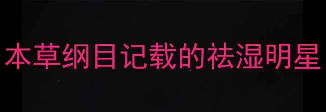 绵萆薢养生指南本草纲目记载的祛湿明星这样用效果翻倍