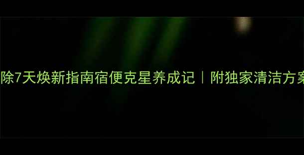 肠道大扫除7天焕新指南宿便克星养成记附独家清洁方案避坑手册
