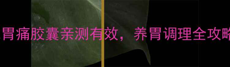 胃痛克星七味胃痛胶囊亲测有效养胃调理全攻略附真实反馈