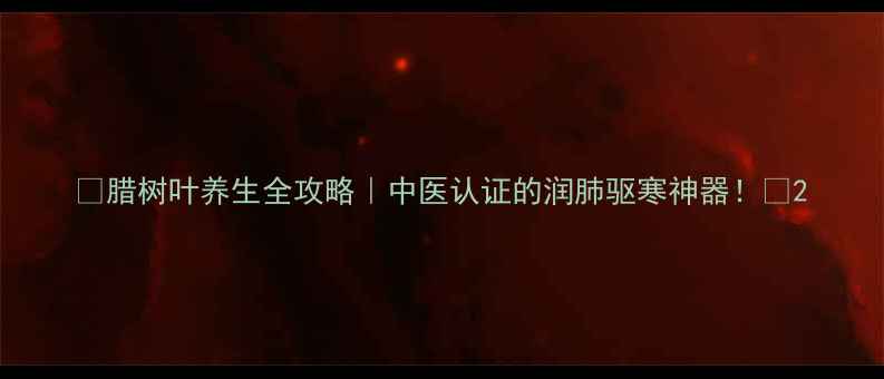 腊树叶养生全攻略中医认证的润肺驱寒神器