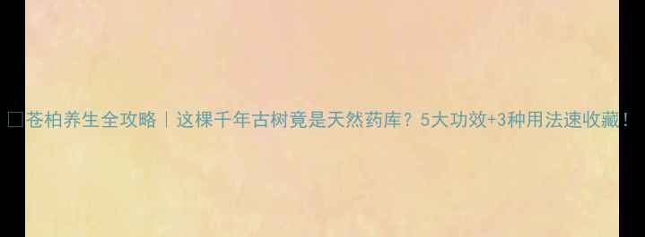苍柏养生全攻略这棵千年古树竟是天然药库5大功效3种用法速收藏