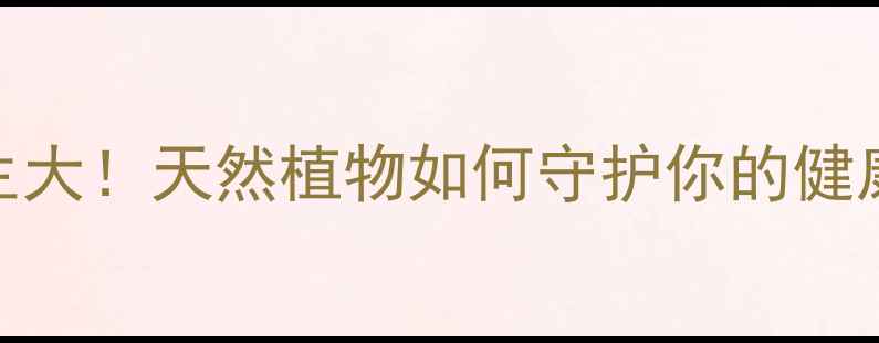 苎麻养生大天然植物如何守护你的健康与美丽