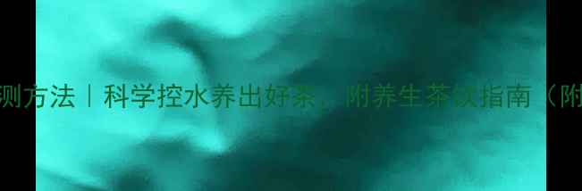 茶叶水分检测方法科学控水养出好茶附养生茶饮指南附工具推荐