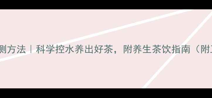 图片 🌿茶叶水分检测方法｜科学控水养出好茶，附养生茶饮指南（附工具推荐）🌿2
