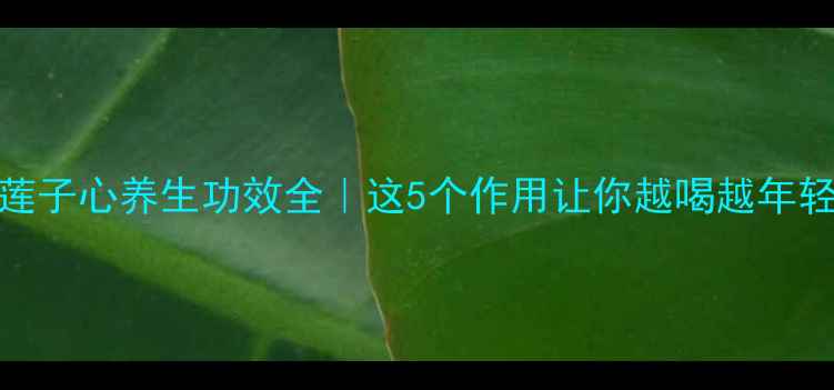 莲子心养生功效全这5个作用让你越喝越年轻