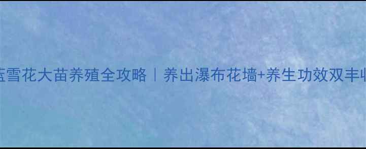 图片 🌿蓝雪花大苗养殖全攻略｜养出瀑布花墙+养生功效双丰收✅