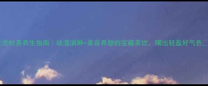 虎杖茶养生指南祛湿消肿美容养颜的宝藏茶饮喝出轻盈好气色
