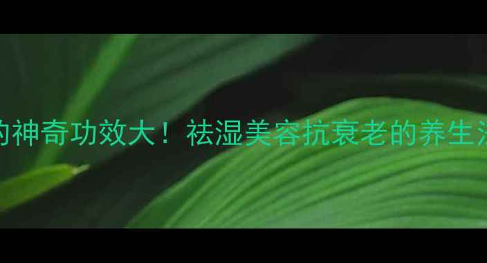 蛇退的神奇功效大祛湿美容抗衰老的养生法宝
