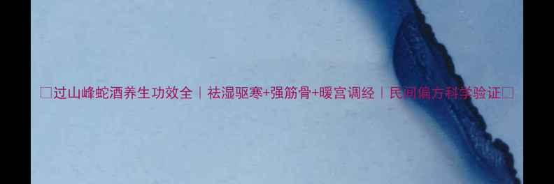 过山峰蛇酒养生功效全祛湿驱寒强筋骨暖宫调经民间偏方科学验证