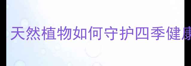 醉鱼草的养生密码天然植物如何守护四季健康功效用法禁忌全