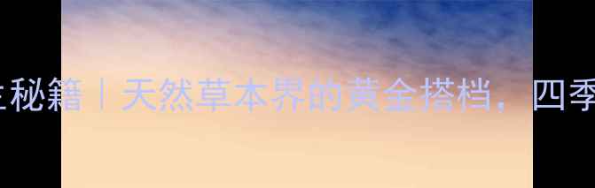 图片 🌿野老鹤草养生秘籍｜天然草本界的黄金搭档，四季养生必看！🌿1