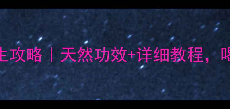 图片 🌿野菊花茶养生攻略｜天然功效+详细教程，喝出好气色！🌼