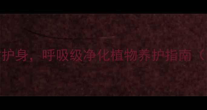 金钱木养殖全攻略居家招财护身呼吸级净化植物养护指南附避坑指南高颜值盆栽搭配