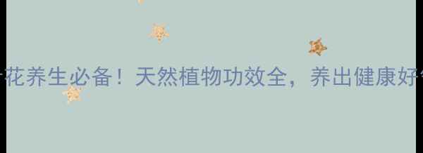 图片 🌿针针花养生必备！天然植物功效全，养出健康好气色🌿