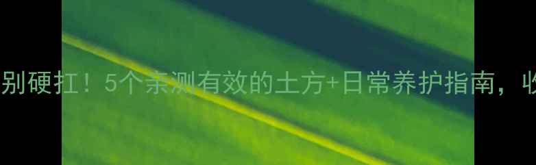 图片 🌿风湿疼痛别硬扛！5个亲测有效的土方+日常养护指南，收藏备用💡1