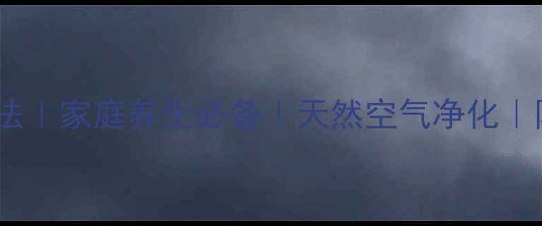 图片 🌿风雨兰繁殖方法｜家庭养生必备｜天然空气净化｜阳台种植指南🌱1