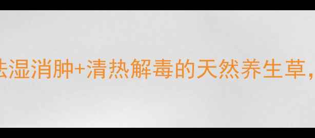 图片 🌿鬼针草亲测有效！祛湿消肿+清热解毒的天然养生草，养生达人都知道！🌿