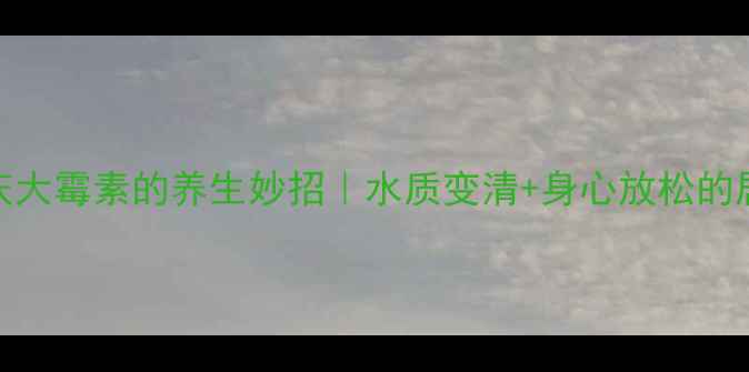 鱼缸加庆大霉素的养生妙招水质变清身心放松的居家疗法