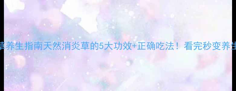 鱼腥草养生指南天然消炎草的5大功效正确吃法看完秒变养生达人