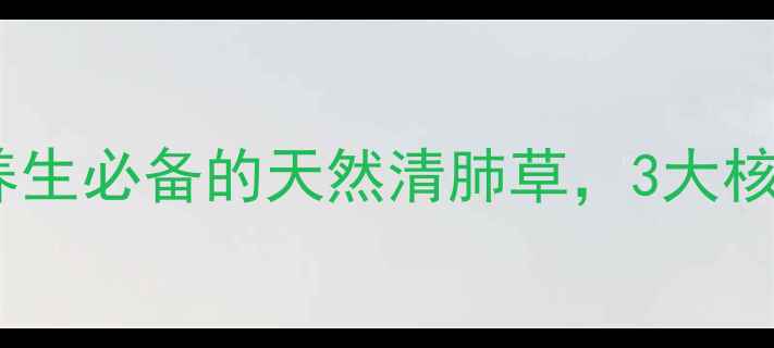鱼腥草冲剂四季养生必备的天然清肺草3大核心功效搭配禁忌全