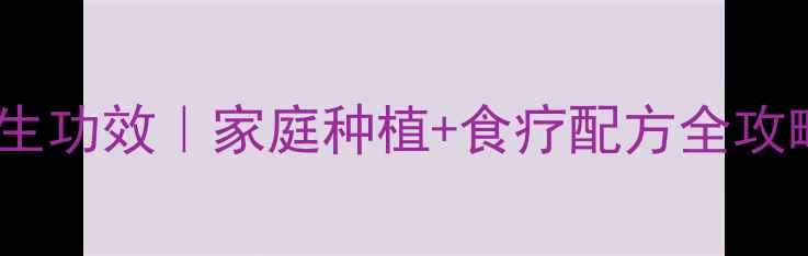 图片 🌿鱼香草的10大养生功效｜家庭种植+食疗配方全攻略（附季节吃法）2
