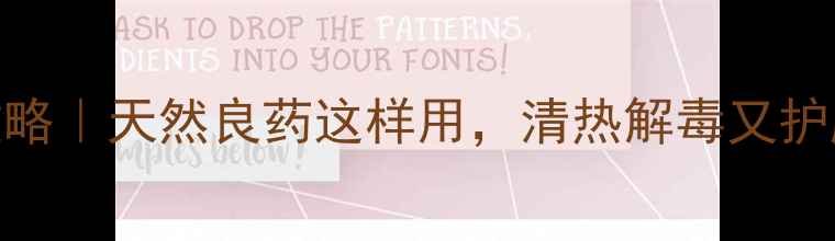 图片 🌿鸡骨草养生全攻略｜天然良药这样用，清热解毒又护肝！附食谱+禁忌1