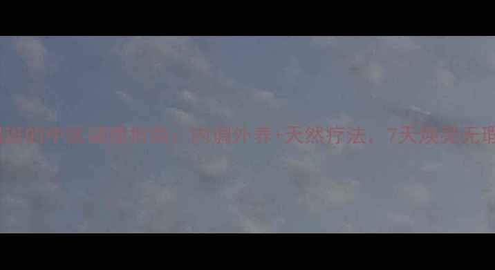 图片 🌿黄褐斑的中医调理指南：内调外养+天然疗法，7天焕亮无瑕肌🌿1