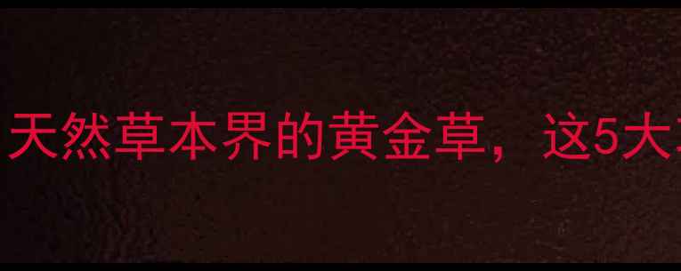 黑口草养生全攻略天然草本界的黄金草这5大功效让你越喝越年轻