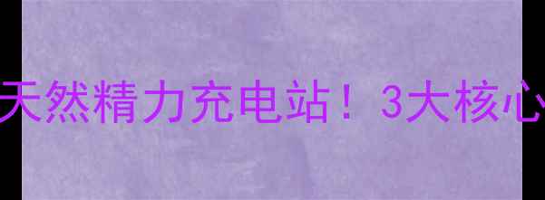 图片 🌿黑玛卡粉｜女性必囤的天然精力充电站！3大核心功效+搭配吃法大公开✨2