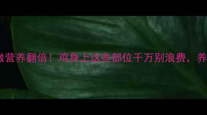 图片 🍗鸡肉这样做营养翻倍！鸡身上这些部位千万别浪费，养生党必看🔥1